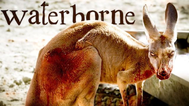 Waterborne - Curta Metragem